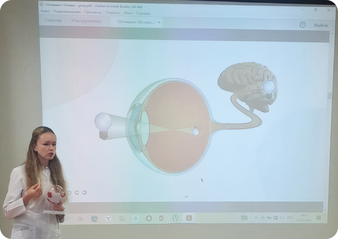 Ортокератология (ночные линзы)