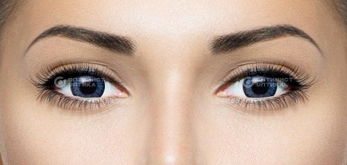 Belmore Illusion Colors Elegance (2 линзы)