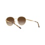 Ray-Ban RB3681 001 13