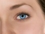 FreshLook (Alcon) Dimensions (6 линз)