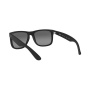 Ray-Ban RB4165 622 T3