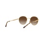 Ray-Ban RB3681 001 13