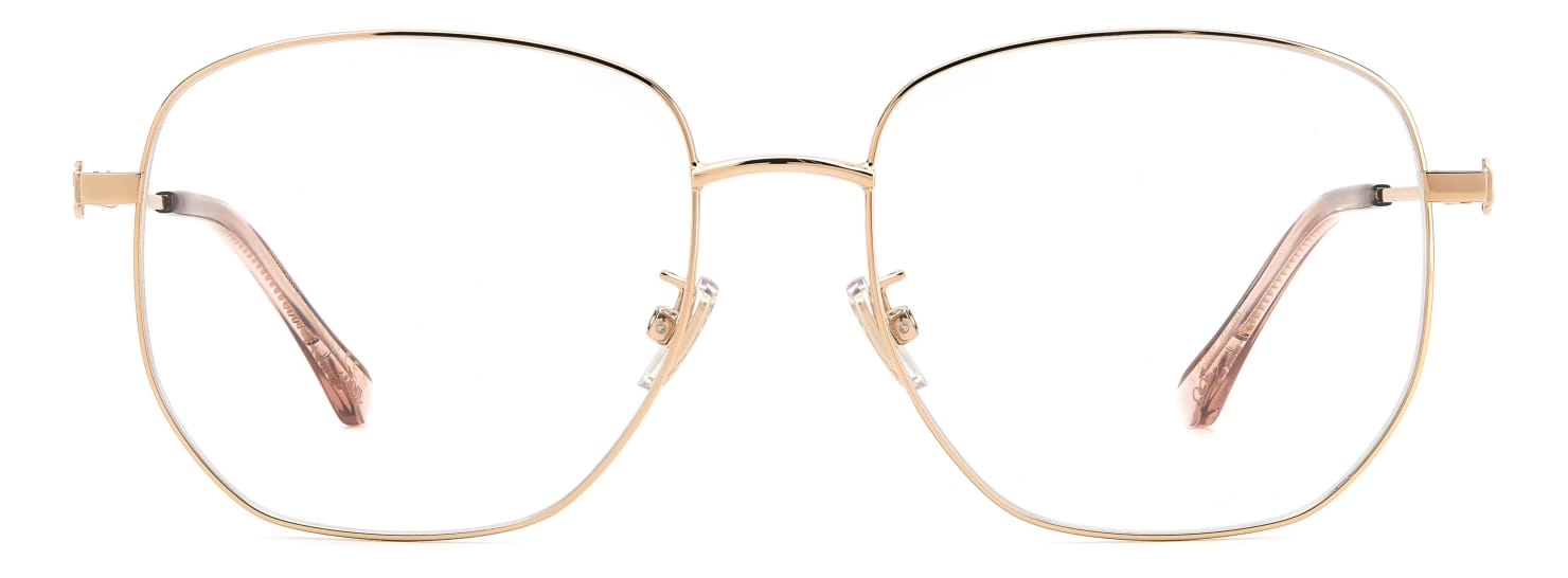 Оправа Jimmy Choo JC368/F 000