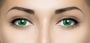 Optosoft Tint (1 линза)