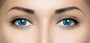 Optosoft Tint (1 линза)